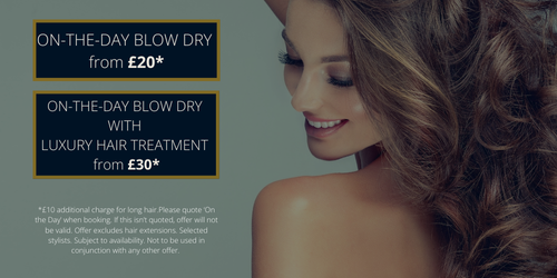 ON-THE-DAY BLOW-DRY SERVICE